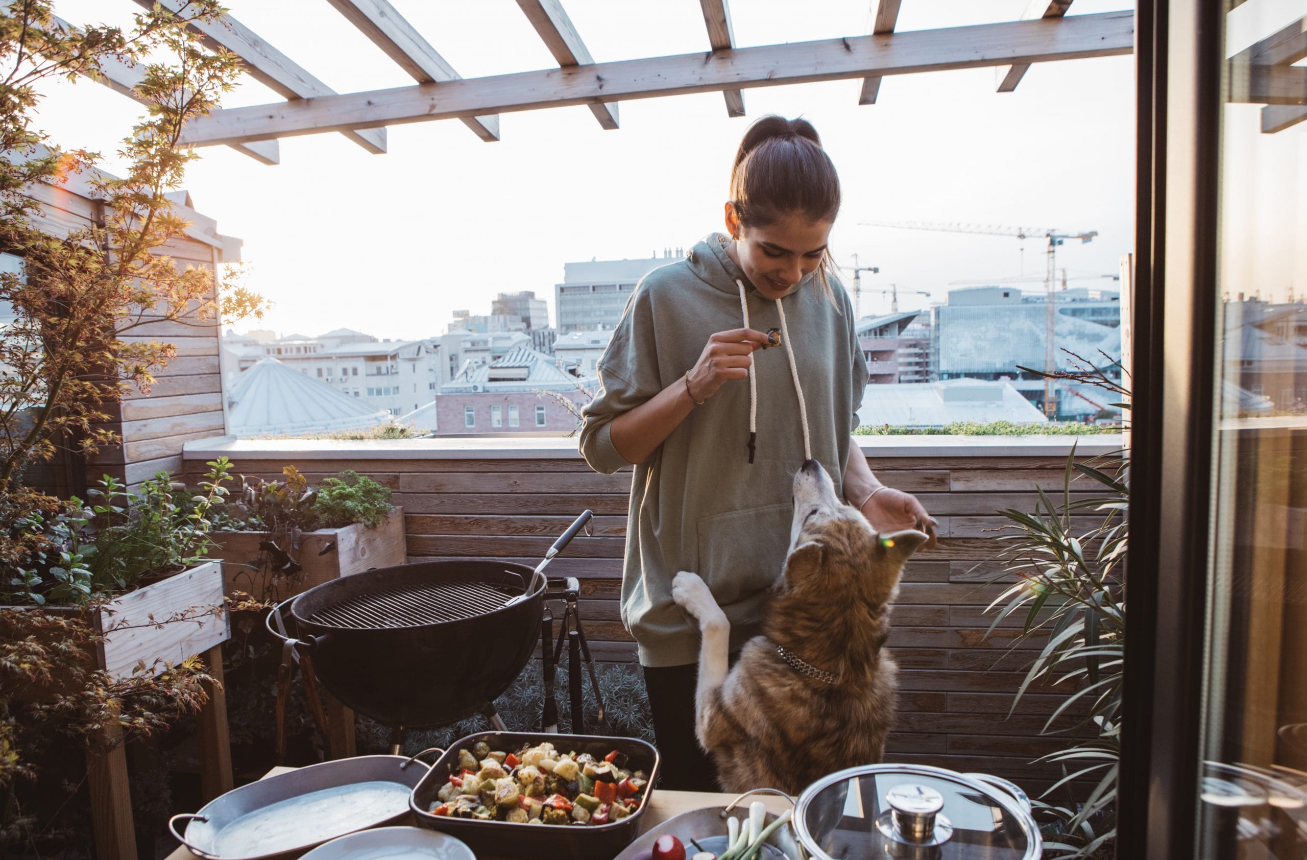 Fire Safety Tips for Pets