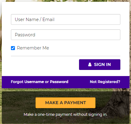 How do I make a payment online?