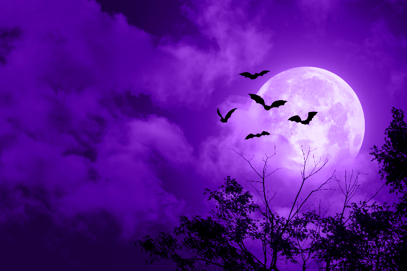 9 Spooky Home Burglary Facts That Give Us Goosebumps (and 9 Tips to Cure Them)