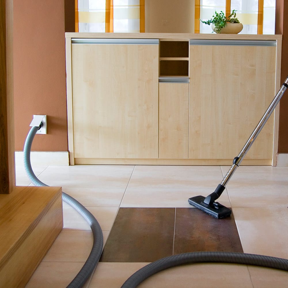 Guardian Protection built-in home cleaning system